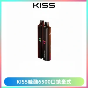 KIS5WAGOO哇酷6500口拋棄式 | 自由混搭雙口味 | 雙芯組合